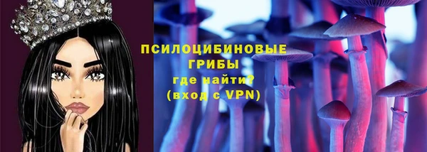 ECSTASY Алексин