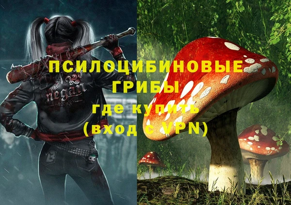 гидра Алзамай